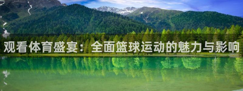 观看体育盛宴：全面篮球运动的魅力与影响