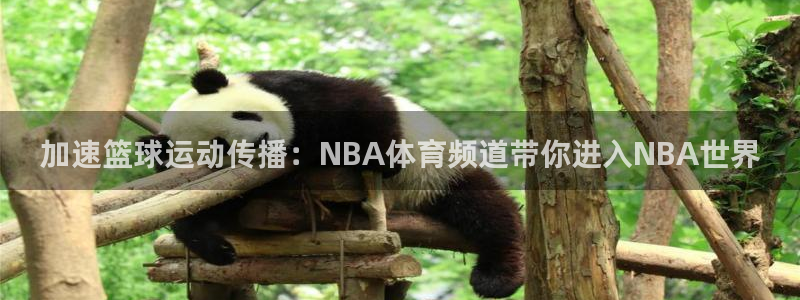 加速篮球运动传播：NBA体育频道带你进入NBA世界