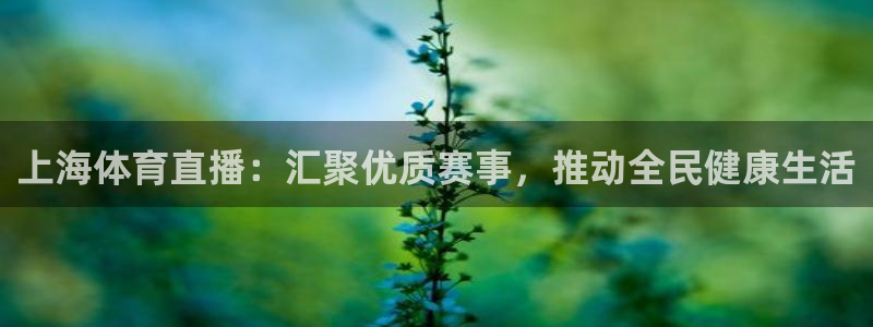 上海体育直播：汇聚优质赛事，推动全民健康生活