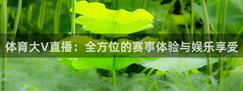 体育大V直播：全方位的赛事体验与娱乐享受