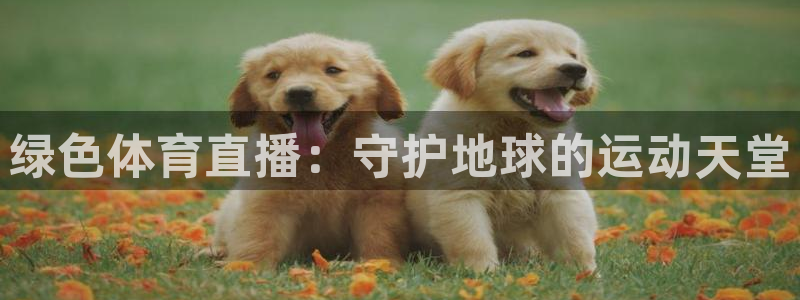 绿色体育直播：守护地球的运动天堂