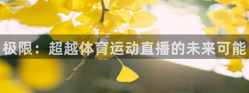 极限：超越体育运动直播的未来可能