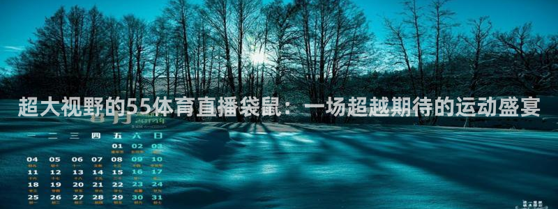 超大视野的55体育直播袋鼠：一场超越期待的运动盛宴
