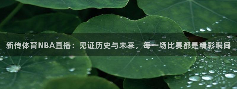 新传体育NBA直播：见证历史与未来，每一场比赛都是精彩瞬间