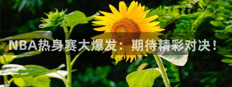NBA热身赛大爆发：期待精彩对决！