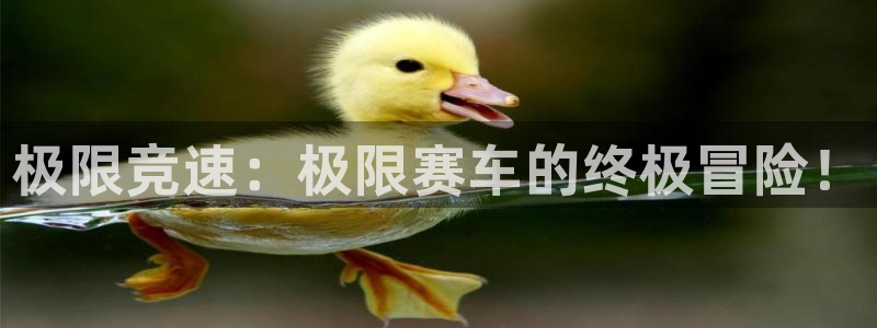 极限竞速：极限赛车的终极冒险！