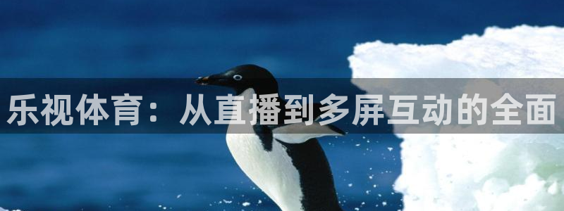 乐视体育：从直播到多屏互动的全面