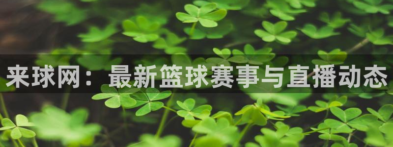 来球网：最新篮球赛事与直播动态