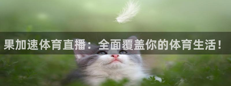 果加速体育直播：全面覆盖你的体育生活！