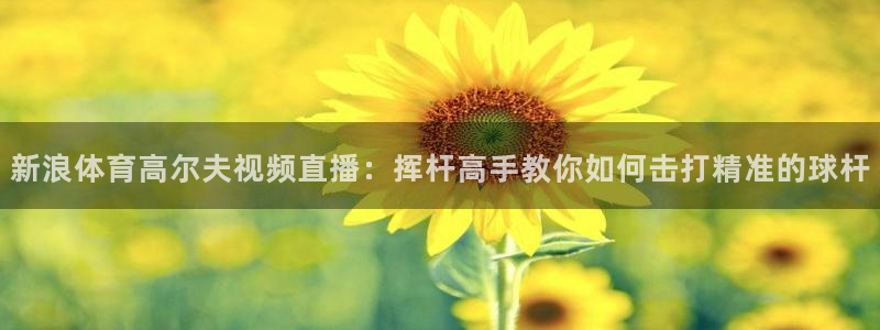 新浪体育高尔夫视频直播：挥杆高手教你如何击打精准的球杆