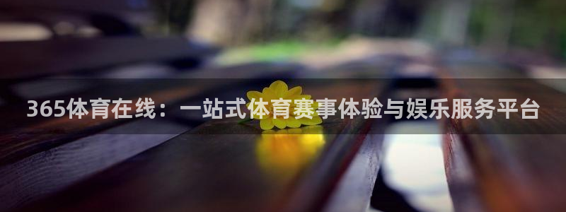 365体育在线：一站式体育赛事体验与娱乐服务平台