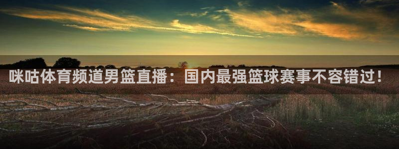咪咕体育频道男篮直播：国内最强篮球赛事不容错过！