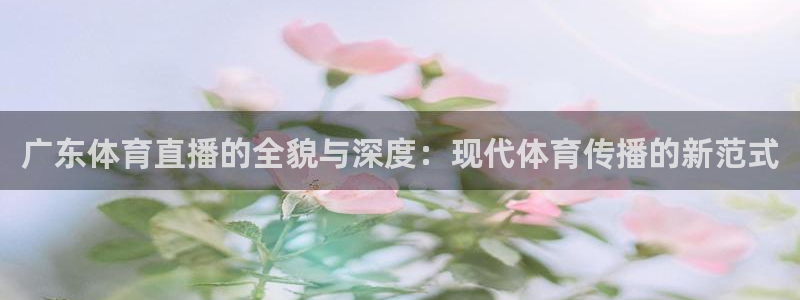 广东体育直播的全貌与深度：现代体育传播的新范式