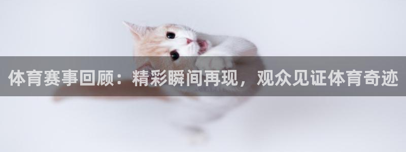 体育赛事回顾：精彩瞬间再现，观众见证体育奇迹