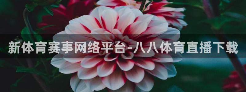 新体育赛事网络平台-八八体育直播下载