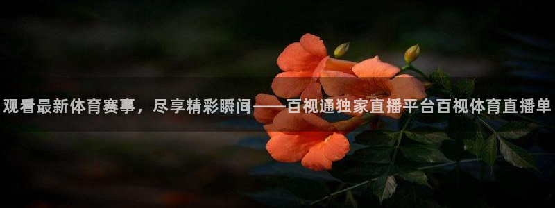观看最新体育赛事，尽享精彩瞬间——百视通独家直播平台百视体育直播单
