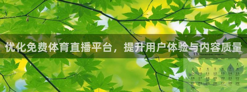 优化免费体育直播平台，提升用户体验与内容质量