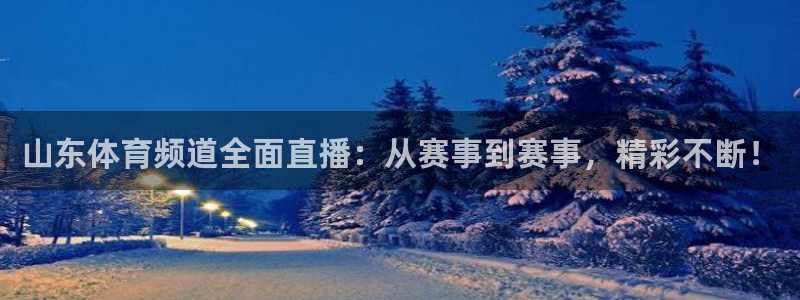 山东体育频道全面直播：从赛事到赛事，精彩不断！