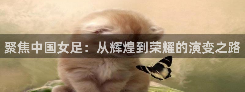 聚焦中国女足：从辉煌到荣耀的演变之路