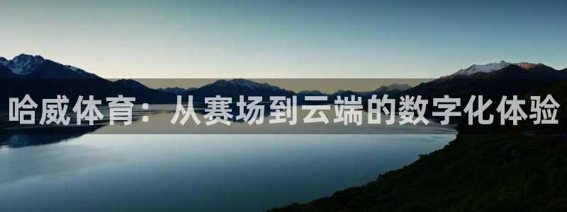 哈威体育：从赛场到云端的数字化体验