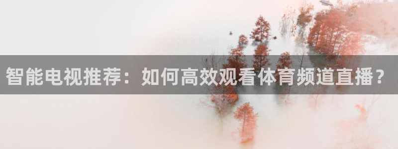 智能电视推荐：如何高效观看体育频道直播？