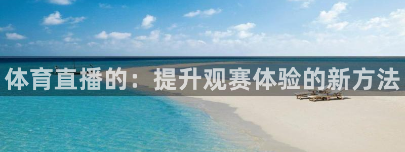 体育直播的：提升观赛体验的新方法