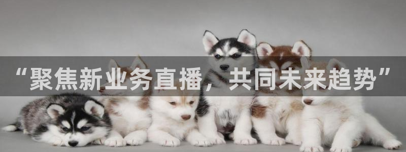 “聚焦新业务直播，共同未来趋势”