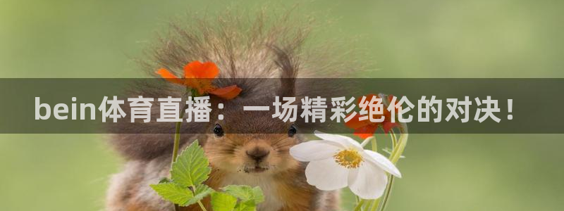 bein体育直播：一场精彩绝伦的对决！