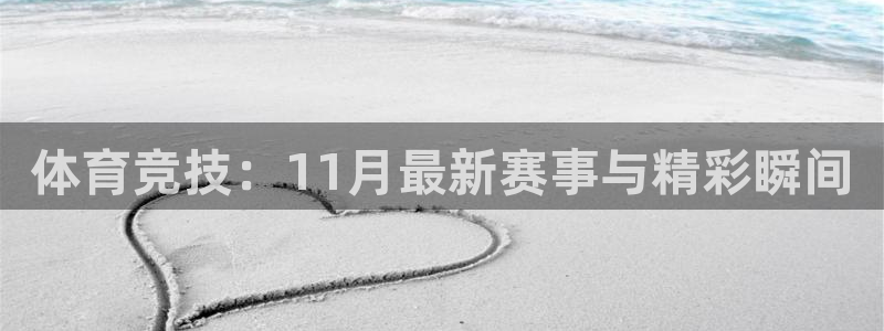 体育竞技：11月最新赛事与精彩瞬间