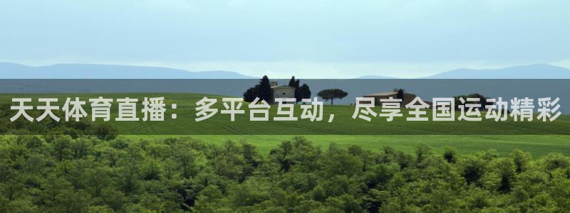 天天体育直播：多平台互动，尽享全国运动精彩