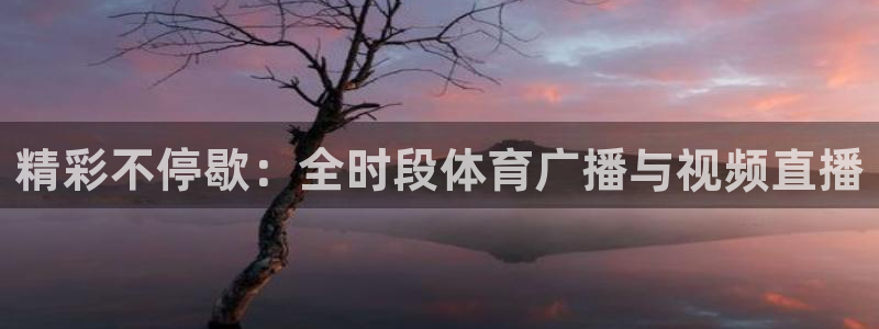 精彩不停歇：全时段体育广播与视频直播