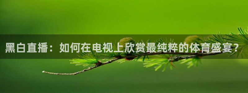 黑白直播：如何在电视上欣赏最纯粹的体育盛宴？