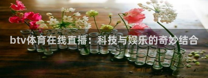 btv体育在线直播：科技与娱乐的奇妙结合