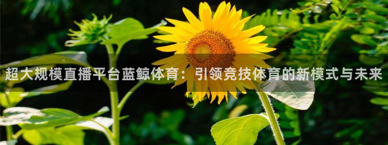 超大规模直播平台蓝鲸体育：引领竞技体育的新模式与未来