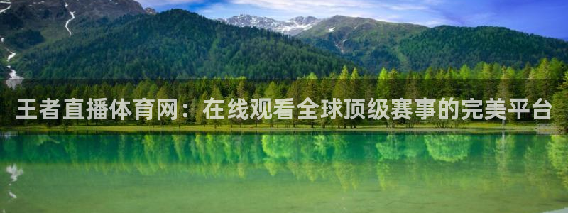 王者直播体育网：在线观看全球顶级赛事的完美平台