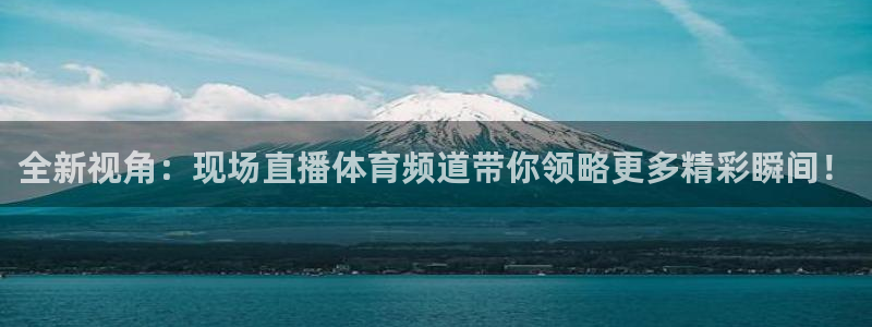 全新视角：现场直播体育频道带你领略更多精彩瞬间！