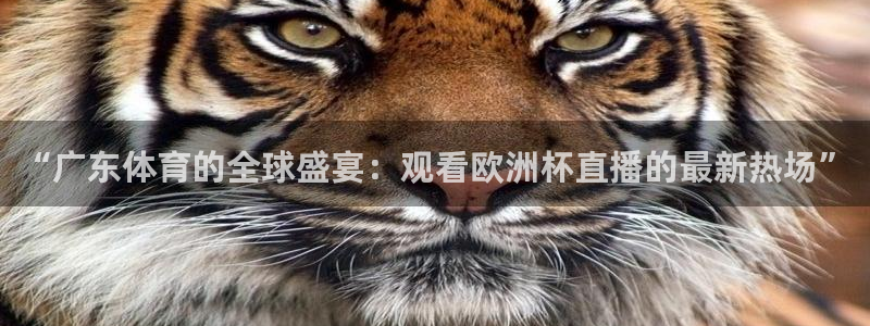 “广东体育的全球盛宴：观看欧洲杯直播的最新热场”