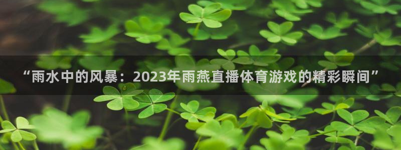“雨水中的风暴：2023年雨燕直播体育游戏的精彩瞬间”