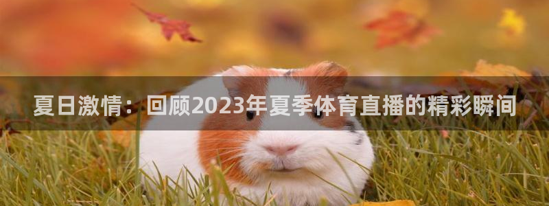 夏日激情：回顾2023年夏季体育直播的精彩瞬间