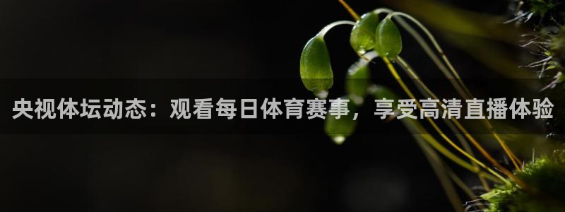 央视体坛动态：观看每日体育赛事，享受高清直播体验